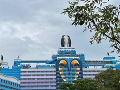 -帝企鹅自助餐厅•儿童岛•真企鹅(长隆企鹅酒店)