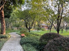 -南山植物园