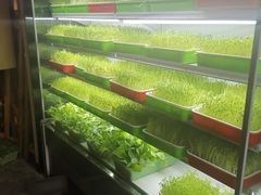 自助取餐区-番食园鲜食火锅(高新店)