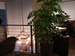 大堂-Alimentari早午餐(安福路店)