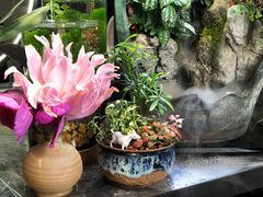 -靳晖金百合花艺GOLDENLILY(南院门店)