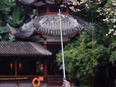 -青羊宫