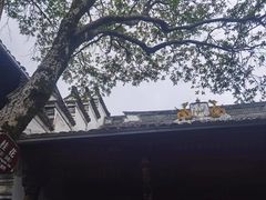 -蒋氏故居