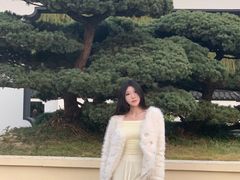 -盆景园(扬州大运河文化旅游度假区)