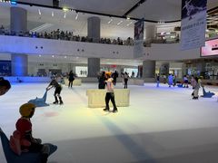 -TheRink大零溜冰场(IFS国金中心店)