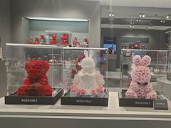 -ROSEONLY诺誓(国际广场购物中心店)