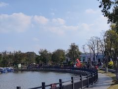 -上海长兴岛郊野公园