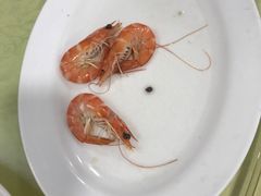 白灼虾-锐记美食店·现捞海鲜(闸坡店)