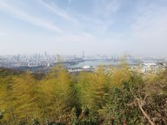 -紫金山天文台