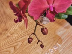 -一杯潮茶·专注潮汕茶饮(朝阳庄店)
