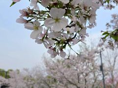 -宁波儿童公园(鄞州区)