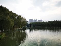 -昆山城市生态森林公园