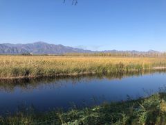 -野鸭湖国家湿地公园