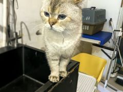 -平行世界·猫咖(首经贸店)