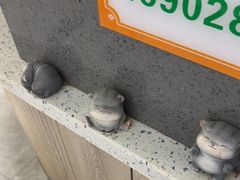 -半岛宠物医院24小时(白果林店)