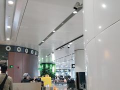 -麦当劳(北京大兴机场二层国内到达(安检外)店)