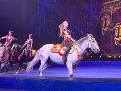 -珠海横琴长隆《卡卡虎奇遇记》