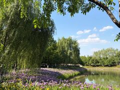 -皇粮浜公园