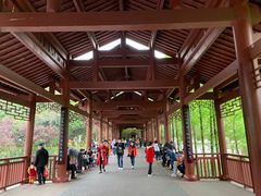 -重庆彩云湖湿地公园