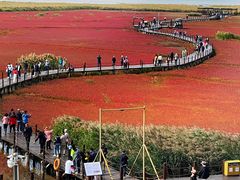 -红海滩国家风景廊道