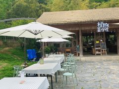 -苏州上方山国家森林公园