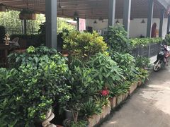 -俺家菜馆(百里峡店)