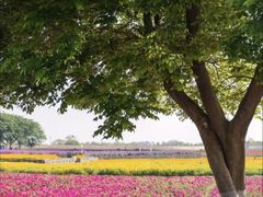 -江苏三台山国家森林公园