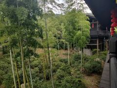 -大唐贡茶院