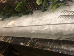 -常州富力喜来登酒店 Feast盛宴标帜西餐厅(新北万达广场店)