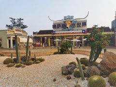 -鼎龙湾德萨斯水世界