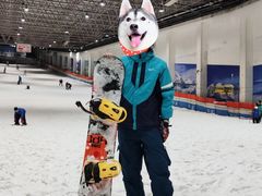 -绍兴启迪乔波冰雪世界