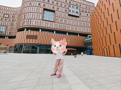 -中国宋庆龄青少年科技文化交流中心