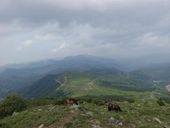 -灵山
