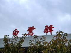 -西安世博园