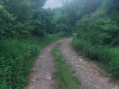 -东白山