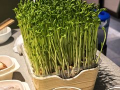 -海底捞火锅(吴中路店)