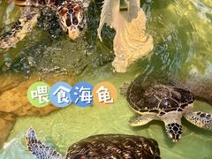 -重庆欢乐海底世界