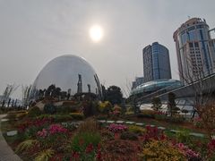 -北外滩滨江绿地