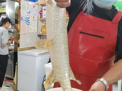 -煲来饱去冷水鱼