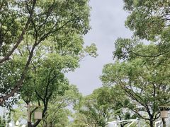 -东钱湖小普陀景区