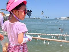 -海驴岛(荣成市)