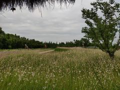 -同里国家湿地公园