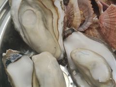 -渡海小渔村.老辈日照菜