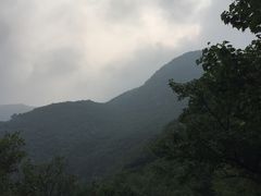 -阳台山自然风景区
