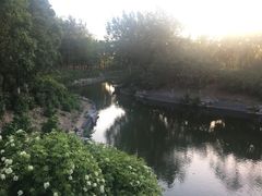 -大兴滨河森林公园