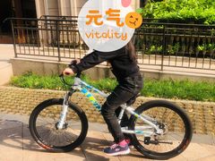 -GIANT捷安特自行车专卖店(金桥台儿庄路店)