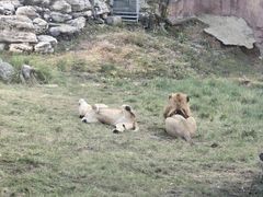 -鄂尔多斯野生动物园