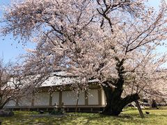 -醍醐寺