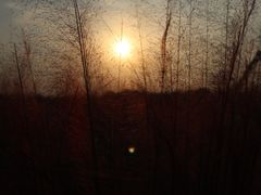 -艾溪湖湿地公园