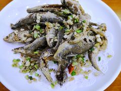 -全乐鱼馆·淳牌有机鱼直营店